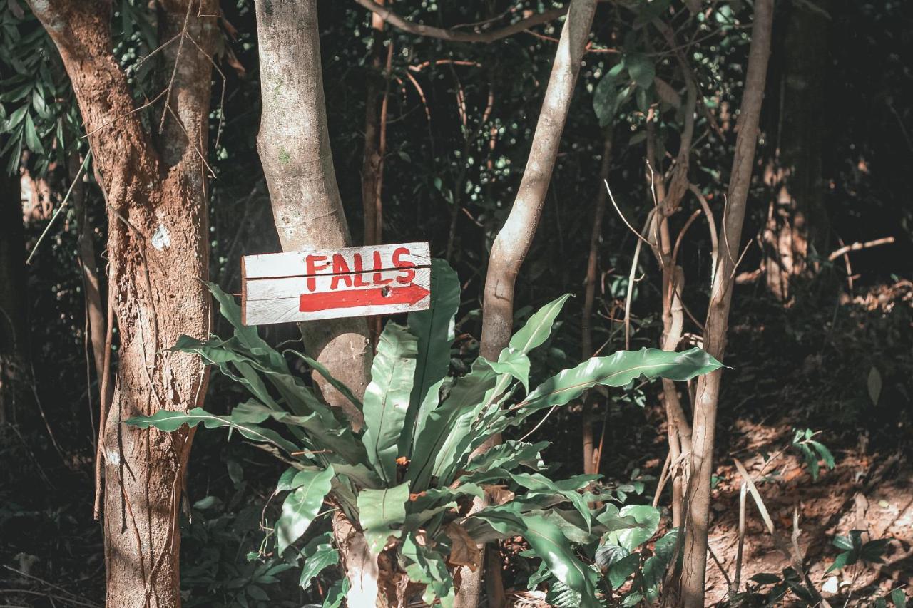 ホテル La Vie Adventure Trails Salabusob エクステリア 写真
