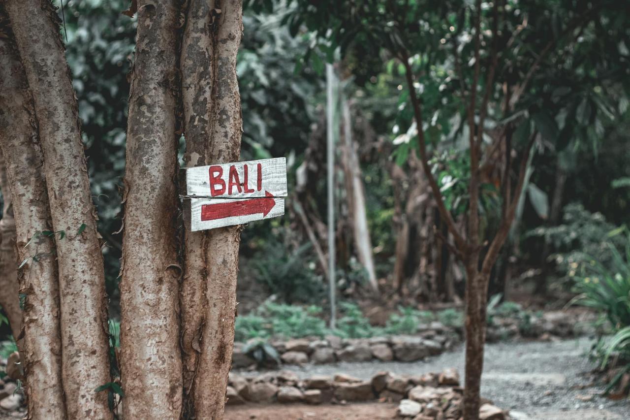 ホテル La Vie Adventure Trails Salabusob エクステリア 写真
