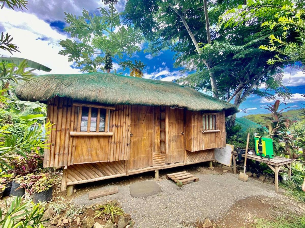 ホテル La Vie Adventure Trails Salabusob エクステリア 写真